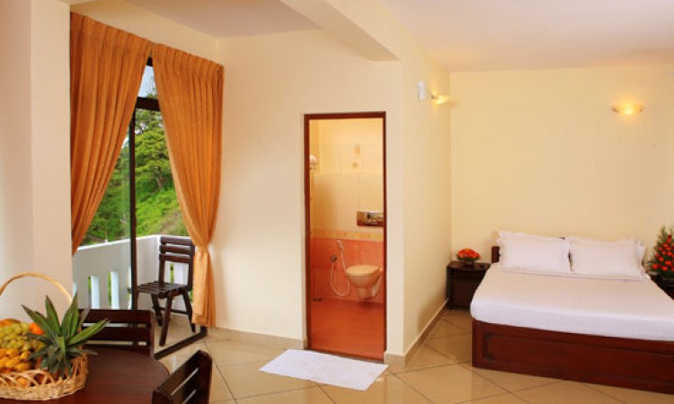 Room Room