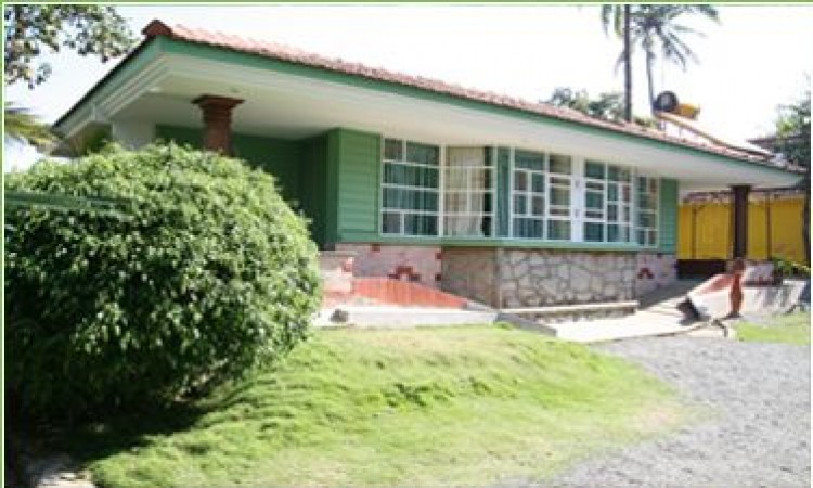 Green Palm Cottage Green Palm Cottage
