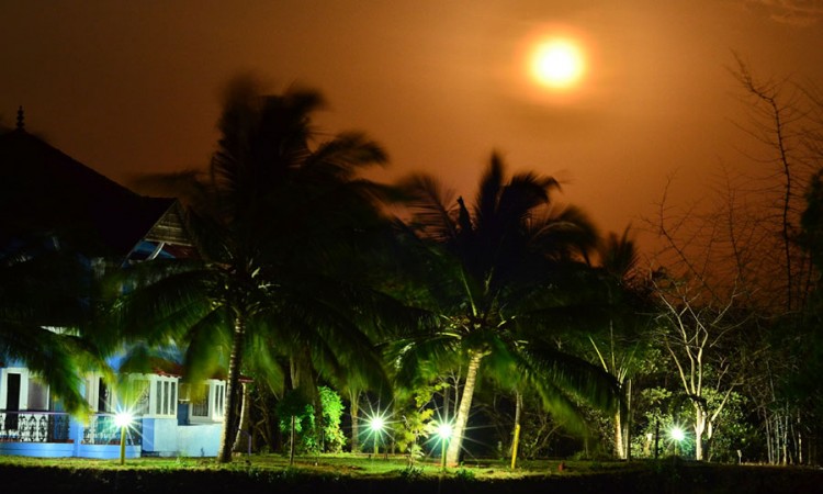 Resort by Night Resort by Night