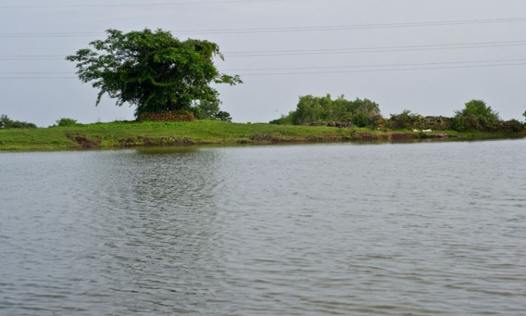 Serene Bank Serene Bank