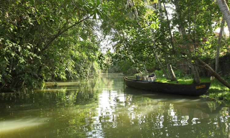 Backwaters Backwaters