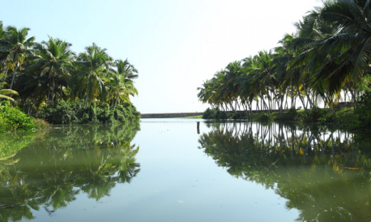 Greenery Greenery
