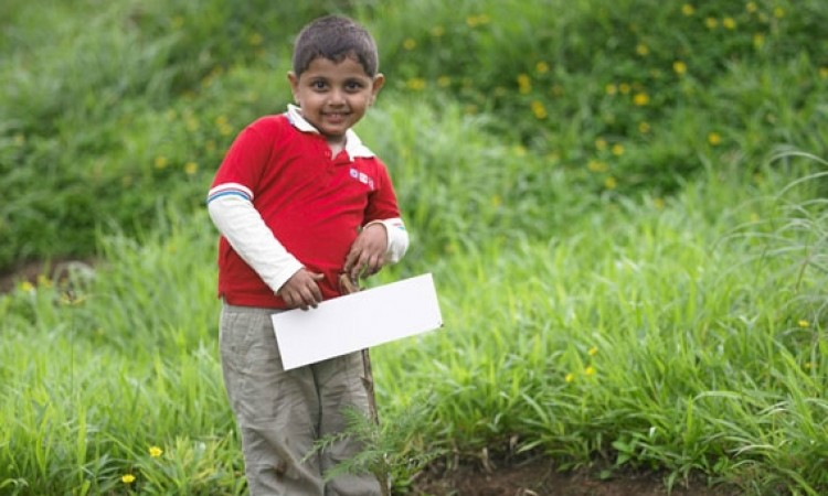 Planting a tree Planting a tree