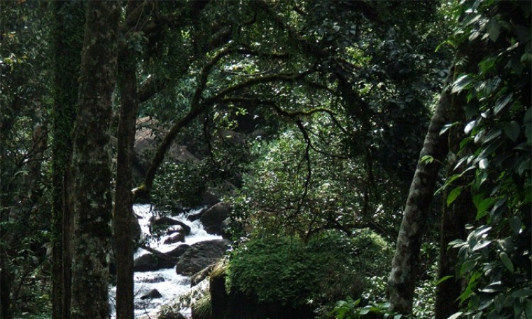 Natural Beauty view Natural Beauty view