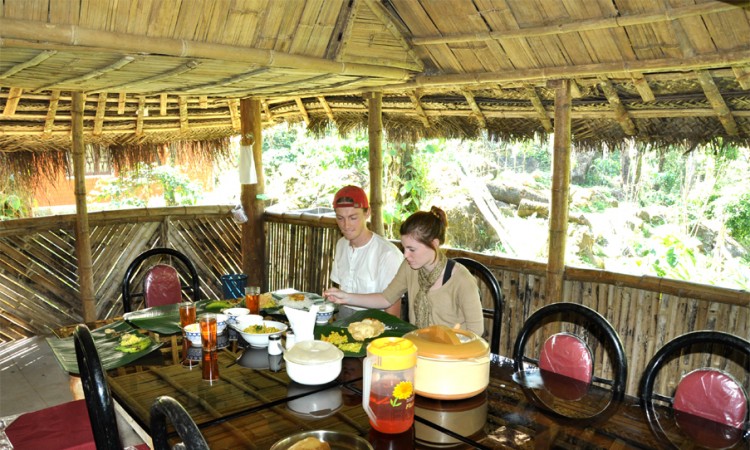 Food in woods view Food in woods view