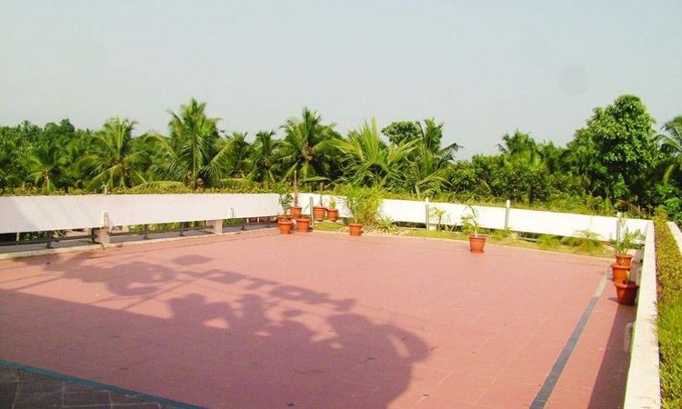 Terrace Garden Terrace Garden