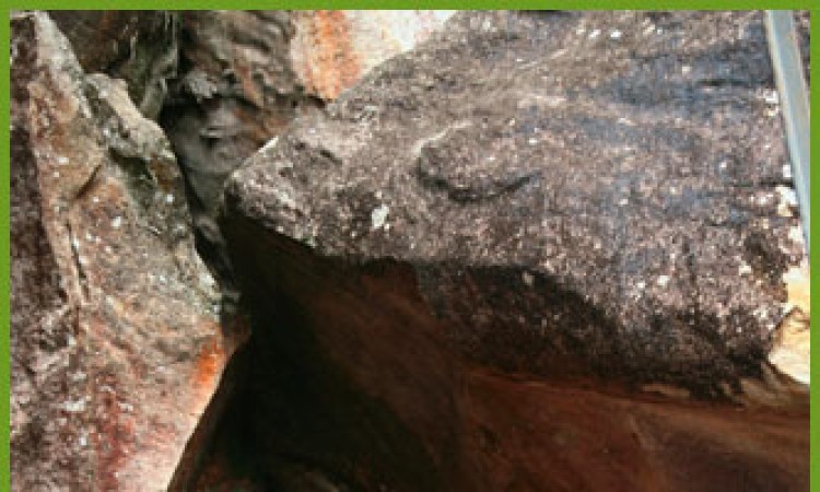 The Edakkal Caves The Edakkal Caves