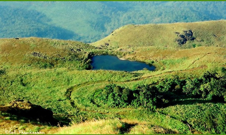 The Lake on the way to Chembra Peak The Lake on the way to Chembra Peak