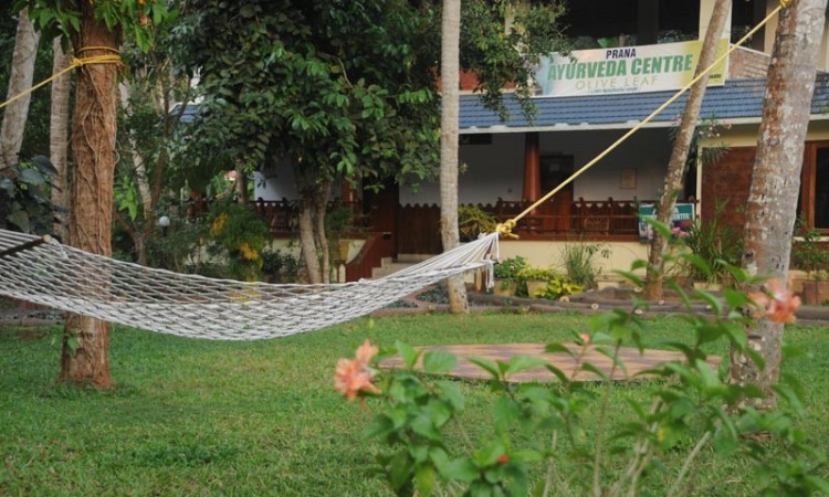By the Ayurveda Centre By the Ayurveda Centre