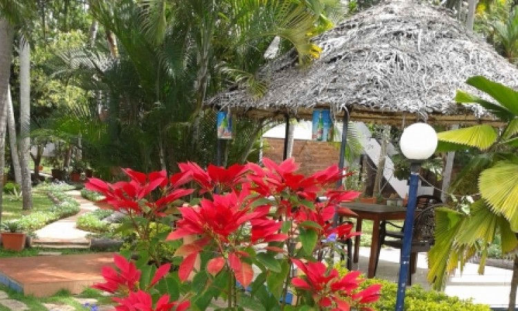 Flowery Garden Flowery Garden