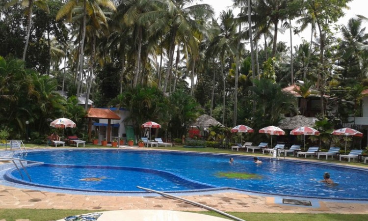 Palm grooves by the pool Palm grooves by the pool