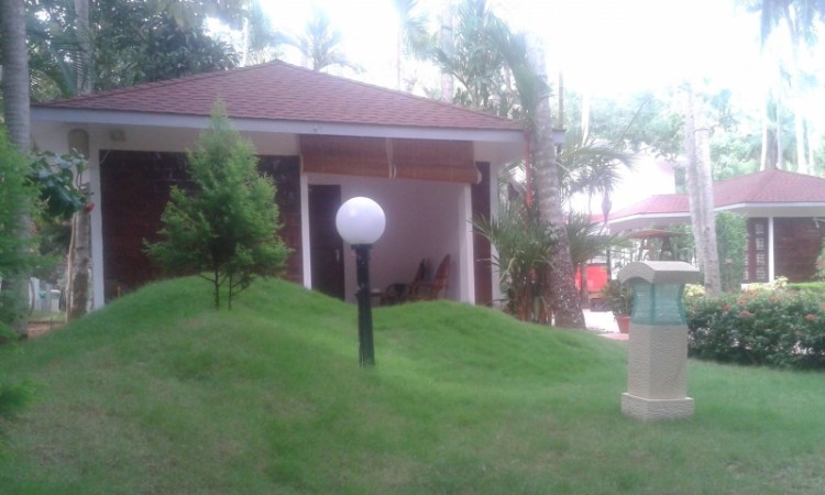 Undulating lawn Undulating lawn