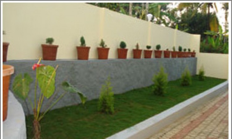 Lawn Lawn