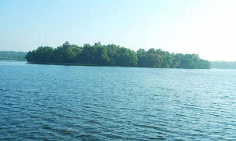 Backwaters Backwaters