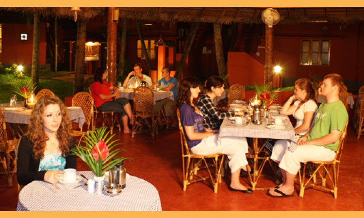 Dining Dining
