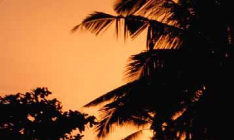 Dawning Dusk Dawning Dusk