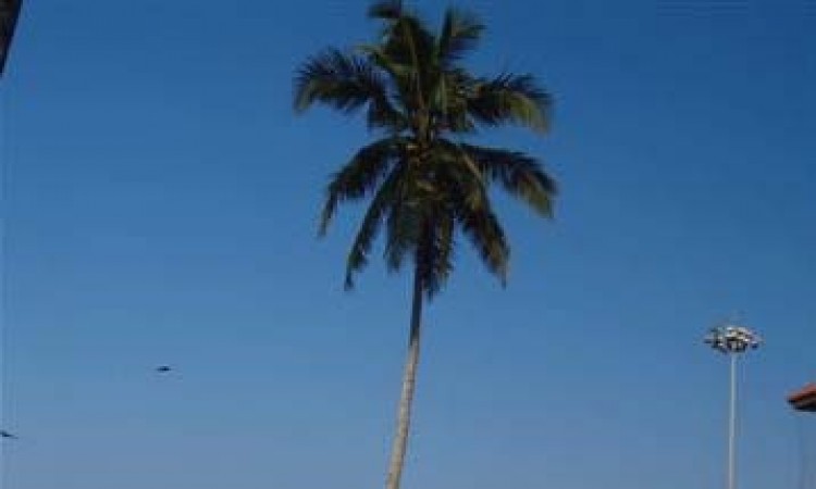 Golden Beach Resort Golden Beach Resort
