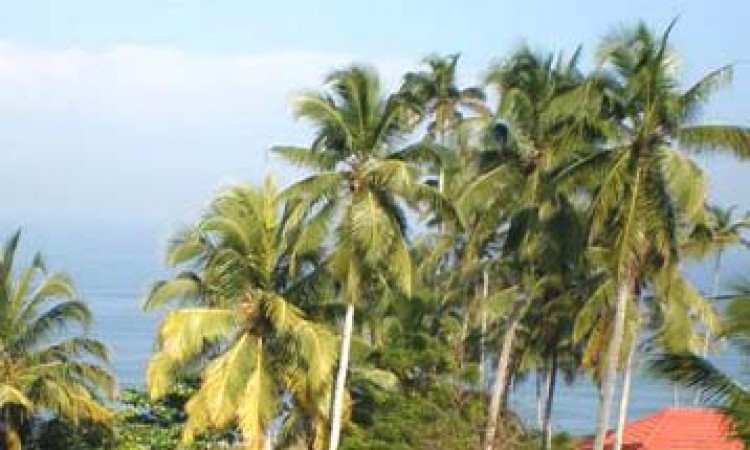 Panoramic view of the Varkala Beach Panoramic view of the Varkala Beach