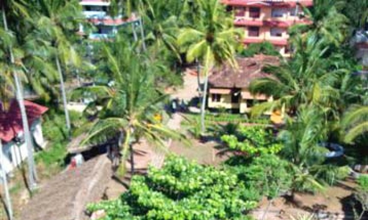 Top view of the resort Top view of the resort