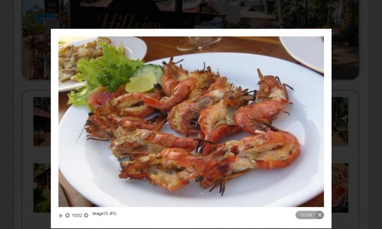 Sea food Sea food
