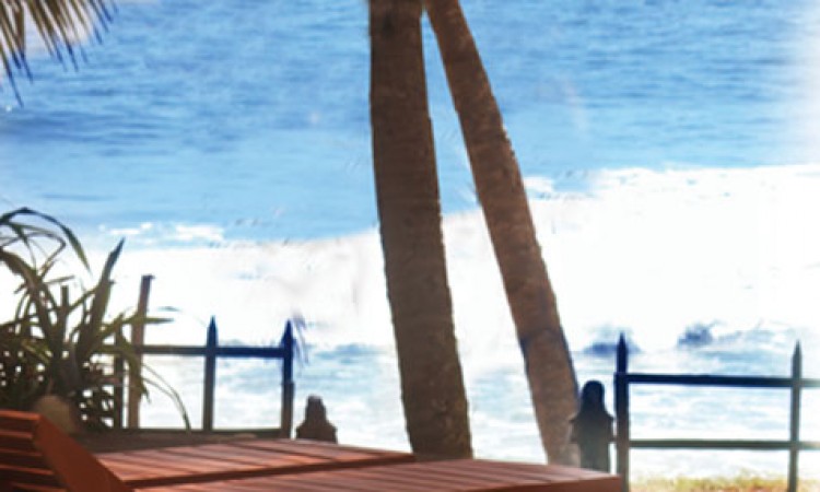 Serene environment Serene environment