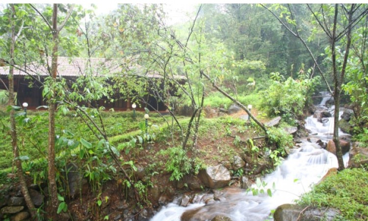 Restaurant amidst Nature Restaurant amidst Nature