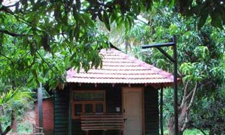 Cottage Cottage
