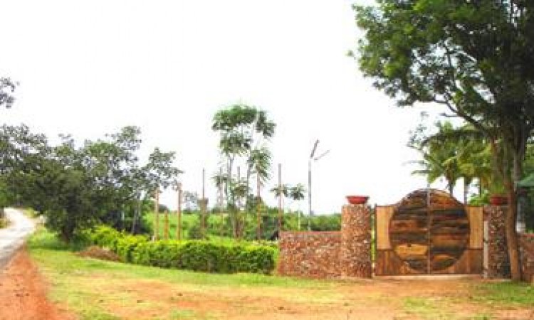 Entrance Entrance