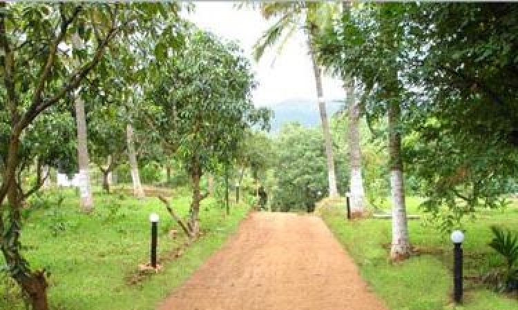 Plantation Plantation