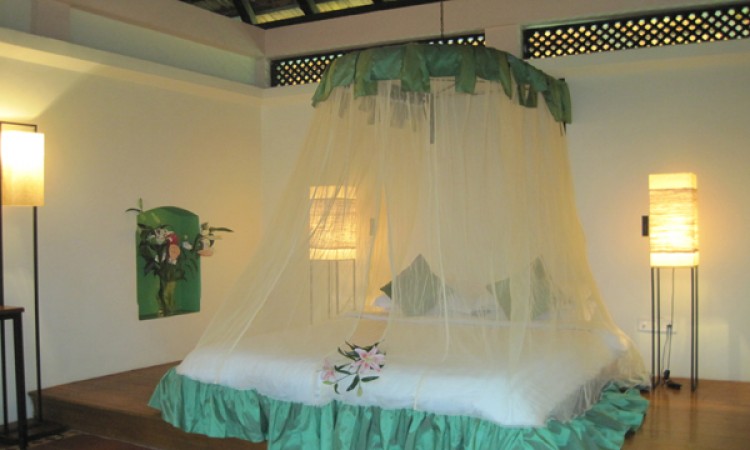 Bed Bed