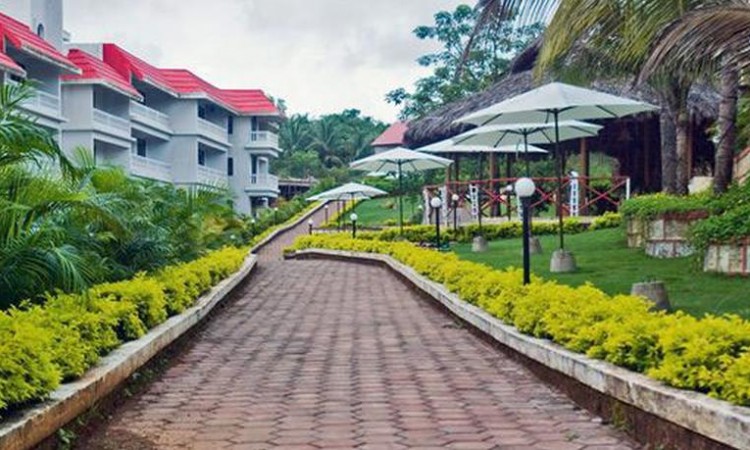 Lawn and pathway Lawn and pathway
