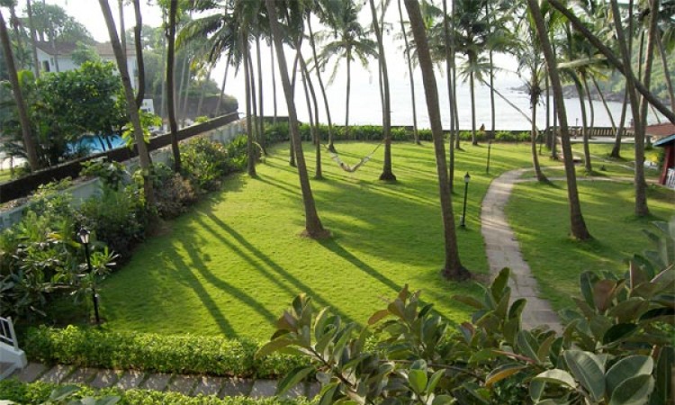 Lawn Lawn