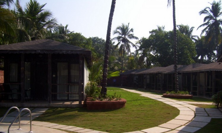 Lawn Lawn