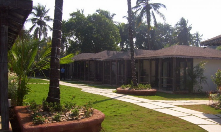 Greenery Greenery