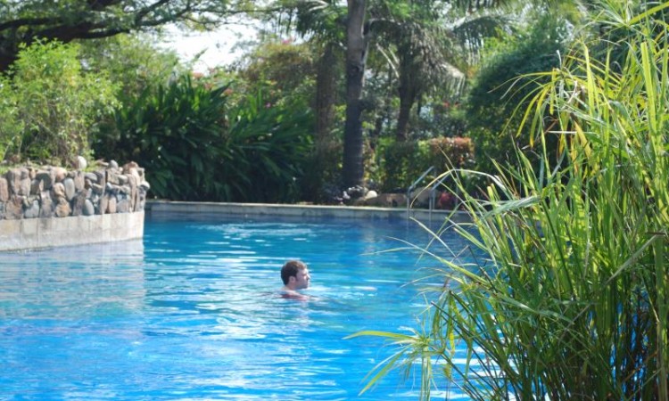 Pool with Lemongrass Pool with Lemongrass