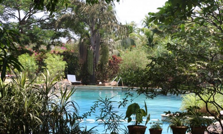 Lush Pool View Lush Pool View