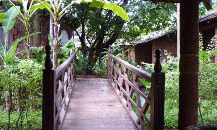 Bridge Bridge