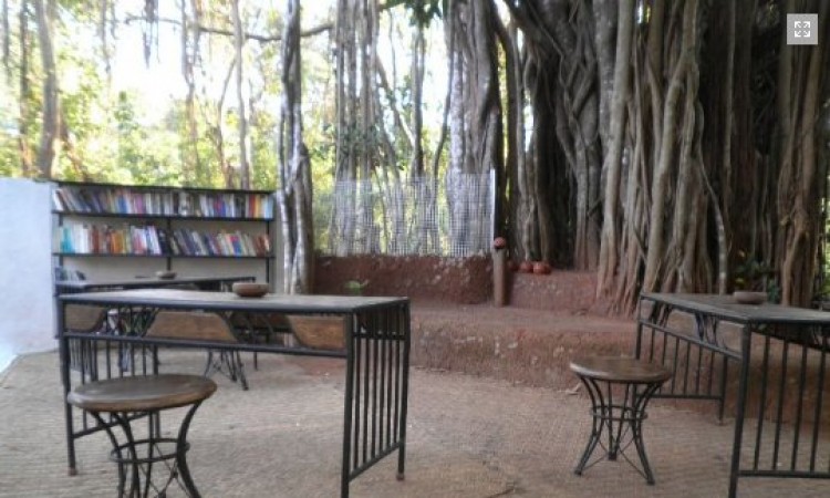 Library in open area Library in open area