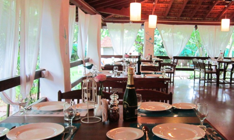 Dining Dining