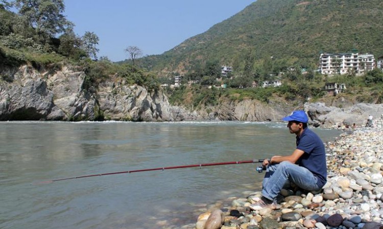 Fishing Fishing