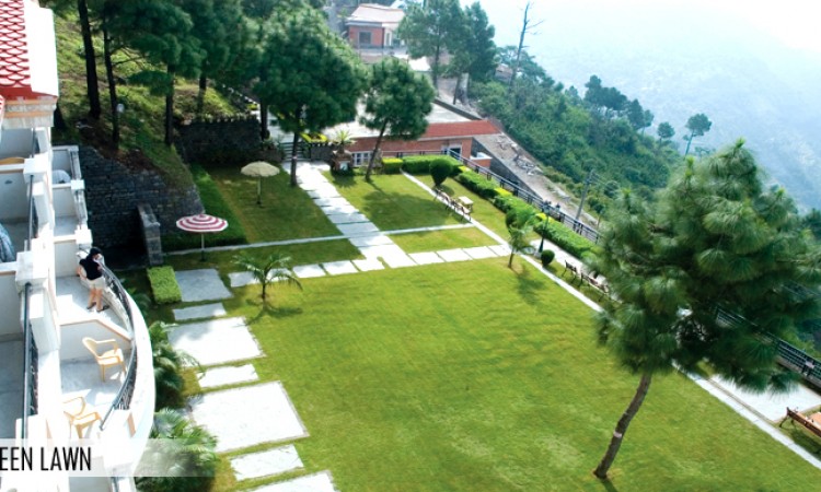 Green Lawn Green Lawn