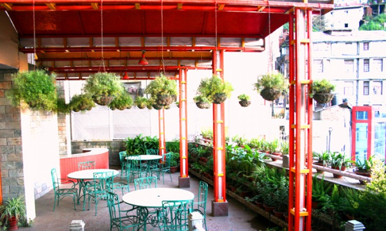 Terrace Terrace