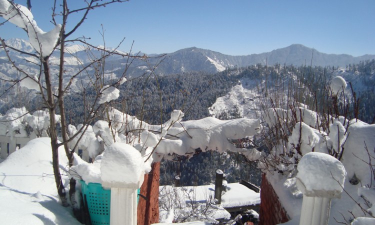 Winter Winter
