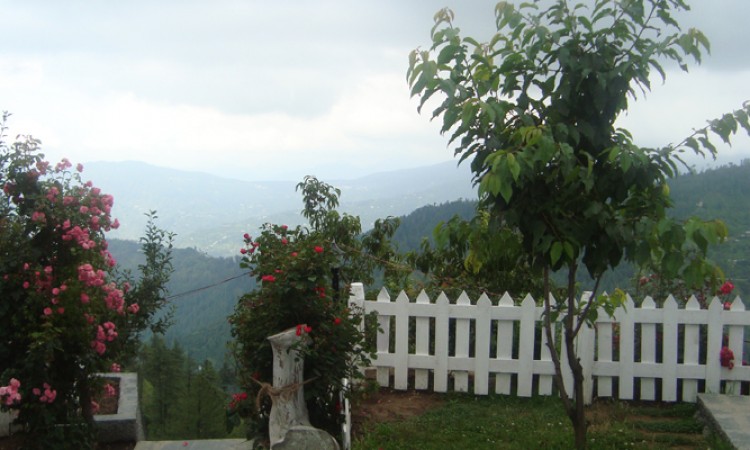 Scenic view Scenic view