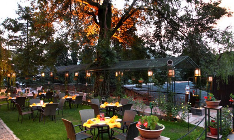Garden dining Garden dining