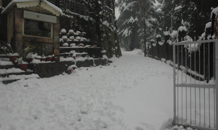 Resort during snowfall Resort during snowfall