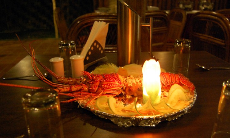 Exotic Food Exotic Food