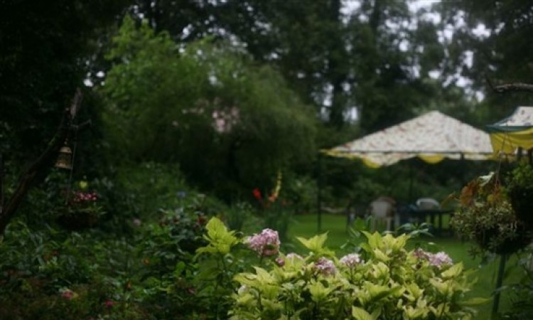 Garden Garden