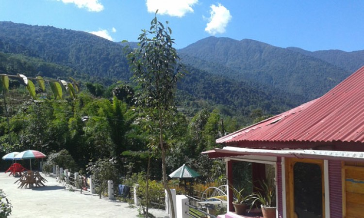 Resort View Resort View