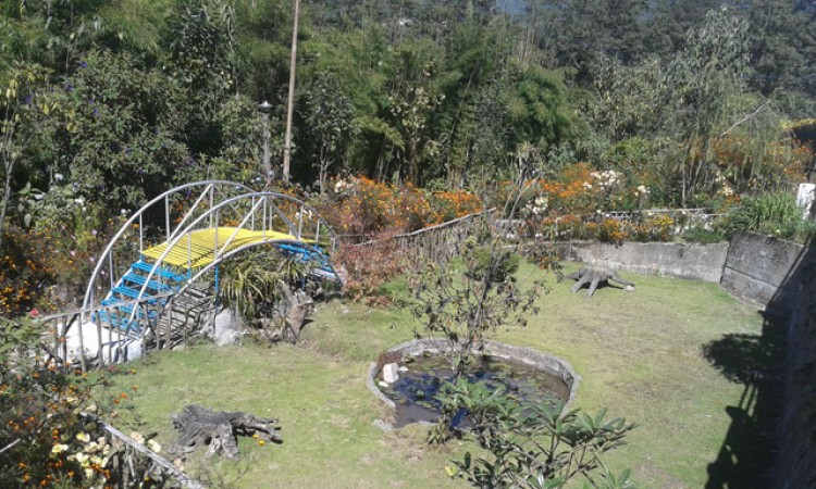 Garden Area Garden Area